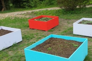 Kad jūsų daržas būtų gražus, daug nereikia: 5 vilnietės patarimai