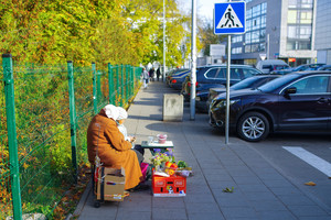 Pensijų reforma pasiklydo šunkelyje