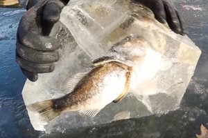 Netikėtas radinys ežero lede pribloškė ne tik žvejus