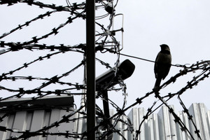 Įmonės „Mūsų amatai“ vadovų darbo vietose ir namuose atliktos kratos