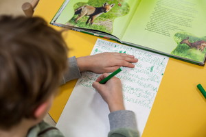 Vilniuje neliks nelegalių rinkliavų iš darželinukų tėvų