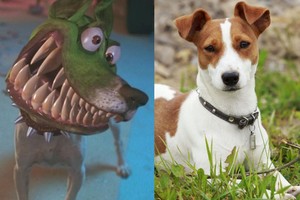 Rusai atidavė augintinį operuoti, kad primintų šunį iš „Kaukės“