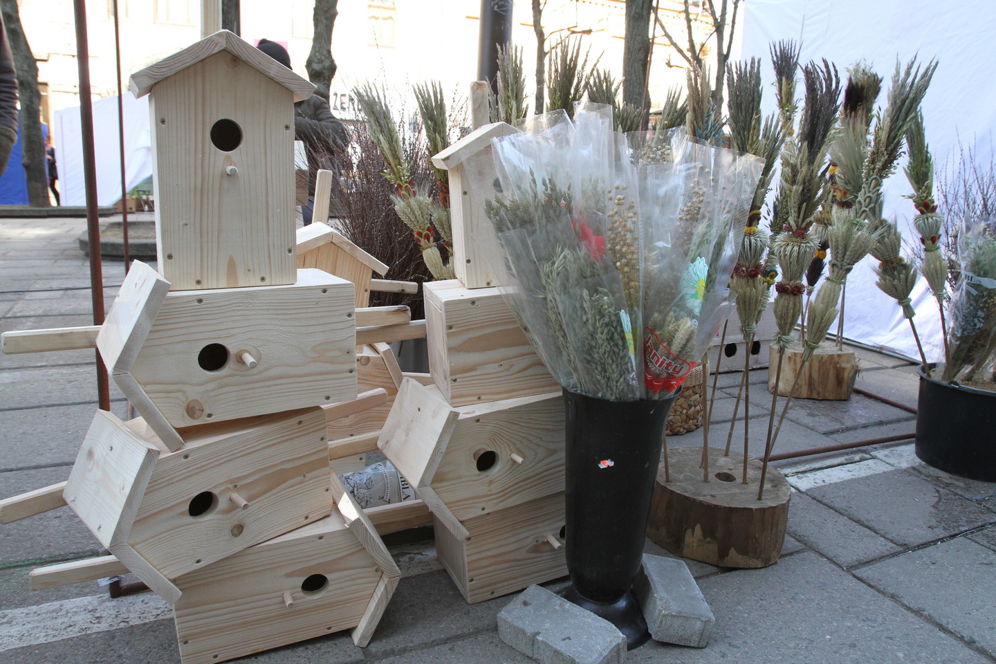 Paukščiai jau apsigyvena inkiluose.<br>V.Ščiavinsko nuotr.