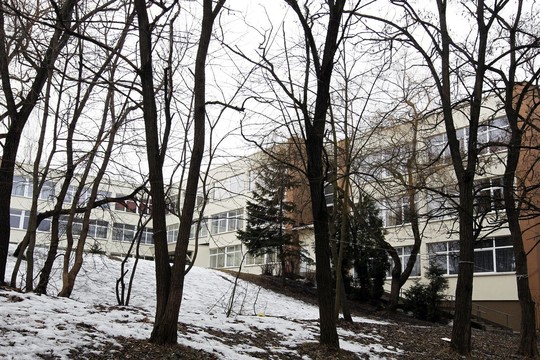 Vilniaus politikai pritarė rusiškos Senamiesčio mokyklos reorganizavimui