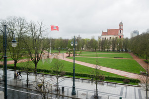 Kova už laisvą Lukiškių aikštę: žirgas, deja, atrodo apgailėtinai