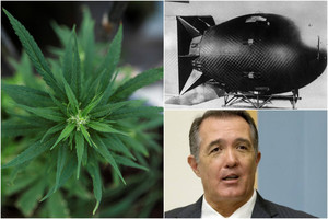 JAV kongresmenas pateikė keistą priežastį, kodėl reikia saugoti pasienį