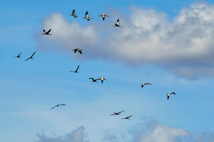 Pajūrio gyventojus nustebino netikėtas vaizdas danguje