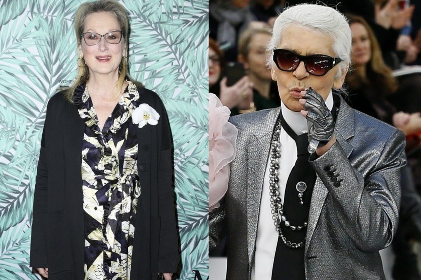M.Streep ir K.Lagerfeldas iškasė karo kirvį.