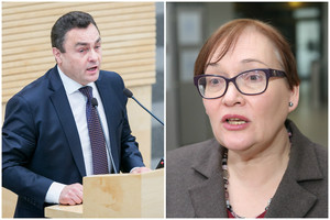 Petro Gražulio mesti kaltinimai užrūstino Aušrą Maldeikienę