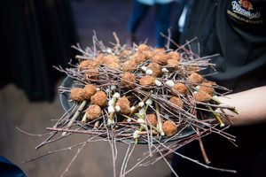 Sūrio pyrago „kamuoliukai“. Nustebsite, su kuo jie dera