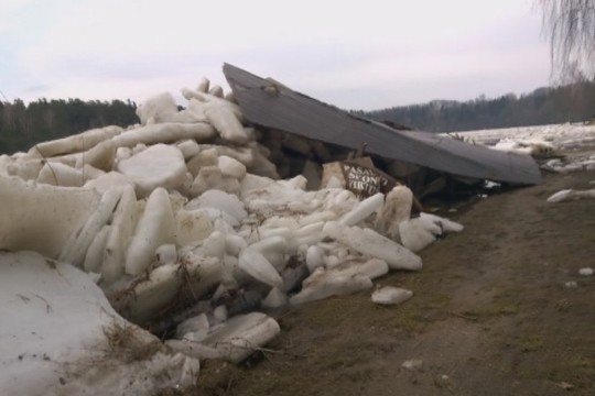 Kokius padarinius gamtai padarė Nemuno ledonešis?
