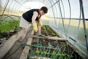 Skuodiškė savo daržą puoselėja pirkiniais iš vaistinės ir ūkinių prekių parduotuvės