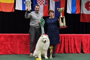 Vilniuje paaiškėjo, kas tapo pačiu gražiausiu šunimi