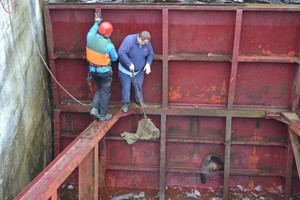 Savaitę trukusią bebro dramą užtvankoje nutraukė drąsūs vyrai