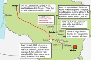 Ievos Strazdauskaitės nužudymas: įvykių chronologija