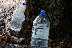 Užsimanėte sulos? Teks paprašyti ir žemės savininko leidimo