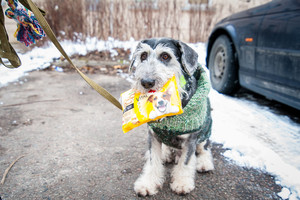 Tikroji gyvenimo laimė – riaugėjantis ir knarkiantis šeimos narys