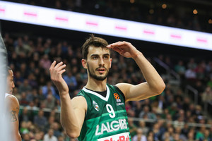 Leo Westermannas atskleidė, ką veiktų be krepšinio