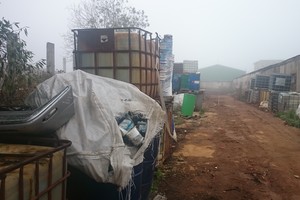 Lietuvoje – pragaro duobės, kur teršalai gali sunaikinti net vaisingumą