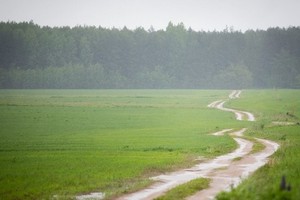 Kristijonas Donelaitis nebuvo paprastas kaimo kunigas, braidantis purvynuose