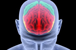 Norite, kad jūsų smegenys nepasentų, o kūnas nesirgtų? Pasakė, ką privalote daryti