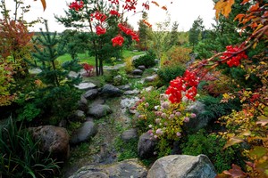 12 sodininkystės privalumų mūsų sveikatai