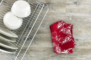 Tikra bakterijų veisykla virtuvėje, apie kurią net neįtarėte