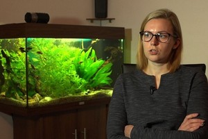 Emigrantei prireikė 7 metų, kad pasiektų laiptelį, ant kurio buvo Lietuvoje