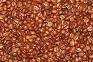 Iššūkis – suraskite boružes ir vaikus tarp kavos pupelių