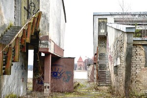 Verslininkai sukilo prieš kietakaktį šventų karvių piemenį