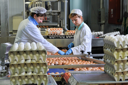 Gaisro nuniokioto Vievio paukštyno darbuotojams – nelengvos dienos