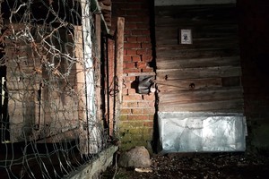 Kūdikį sudraskiusį šunį šiurpiais metodais kankino ir sužvėrėję vaikai