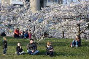 Lietuvių kalba familiarėja, gali nebelikti pagarbaus kreipinio