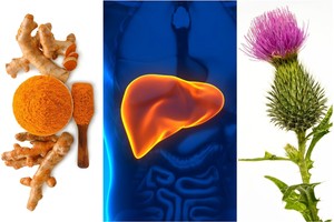 Nuo daugelio ligų galima išsigydyti augalais ir tai – populiarėja