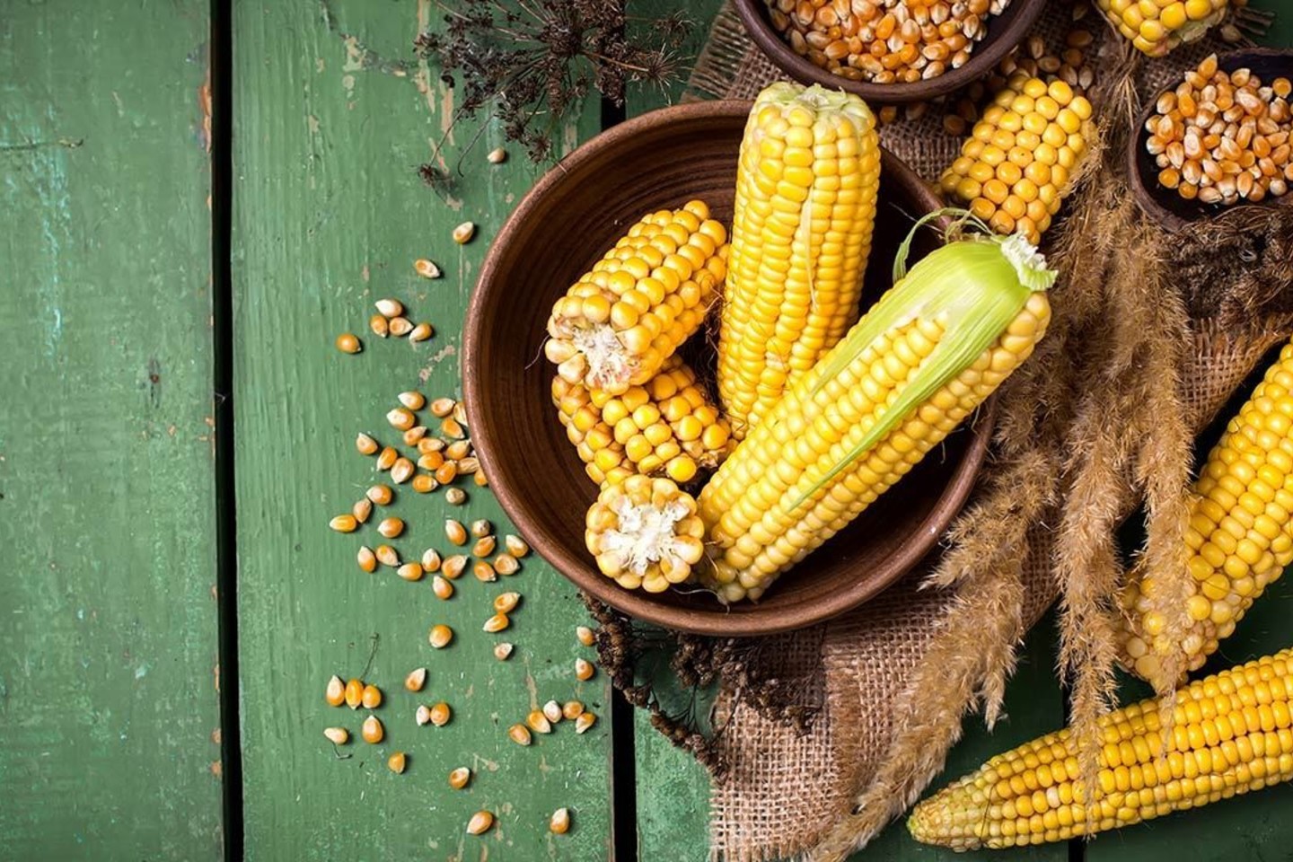 Kukurūzai vartojami dietiniam maitinimui. Skanios ir maistingos virtos kukurūzų burbuolės.<br>„UAB agrofirma „Sėklos“ nuotrauka“.