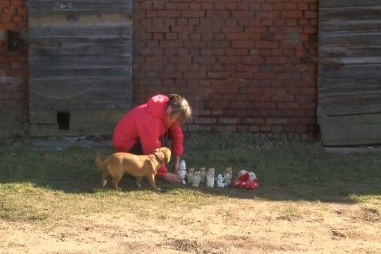Trumpos žinios: už žiaurią kūdikio mirtį greičiausiai teks atsakyti šuns neprižiūrėjusiam tėvui