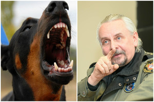 Kinologas paaiškino, kaip apsiginti nuo puolančio šuns