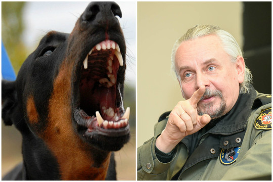 Kinologas paaiškino, kaip apsiginti nuo puolančio šuns