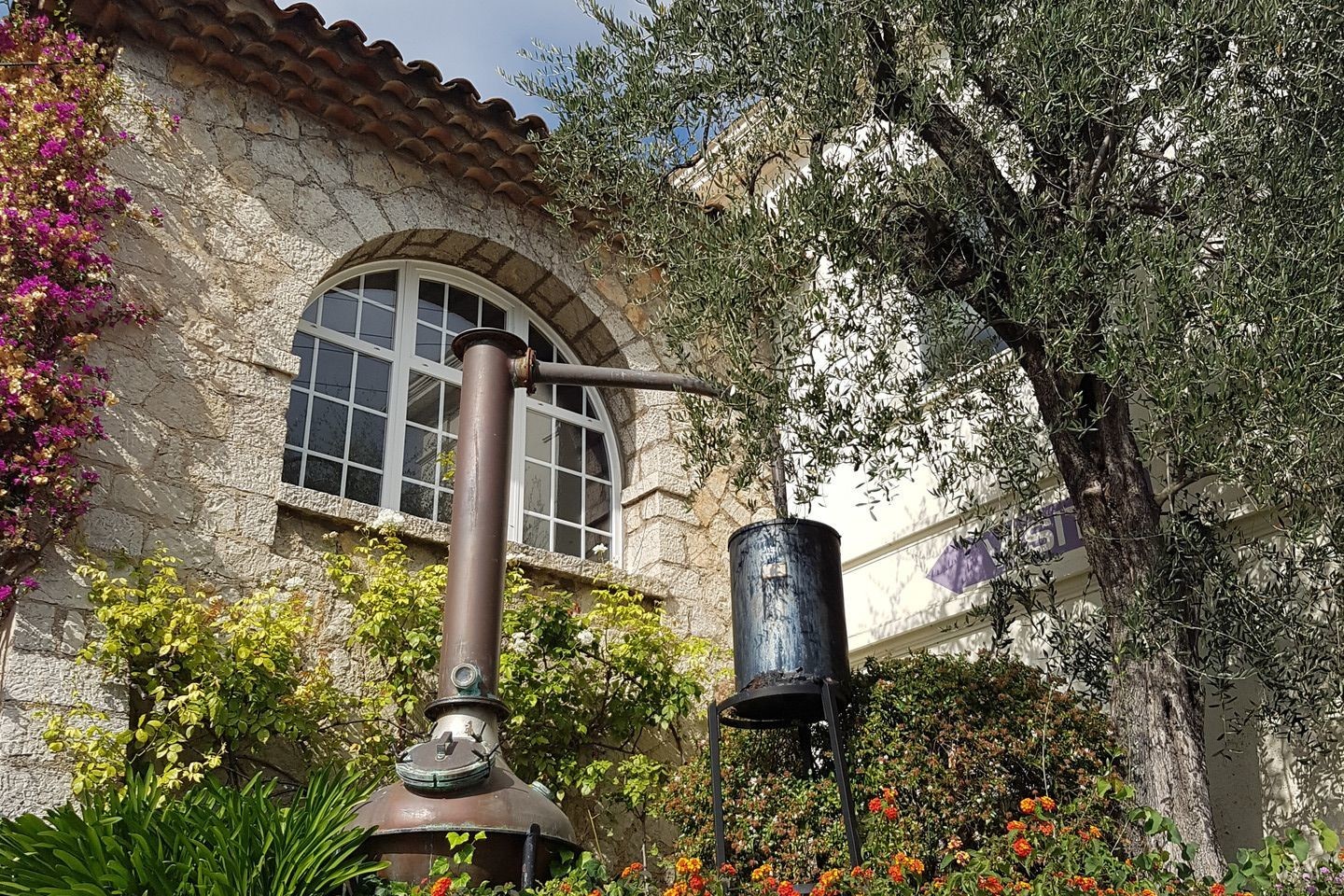 Kvepalų namai „Molinard“ – labai gražus ir elegantiškas dvariukas su mažu muziejumi, kvepalų gaminimo mokyklėle ir parduotuve.