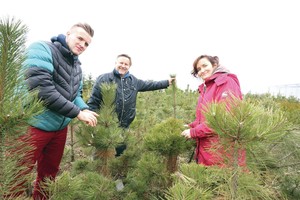 Pakaunės gėlininkas rado būdą, kaip užauginti 5 kartus didesnį pomidorų derlių