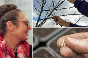 Astrologės Palmiros šios savaitės patarimai sodininkams