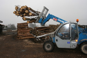 Miško inžinierius: „Vienintelė man liekanti išeitis – emigracija“