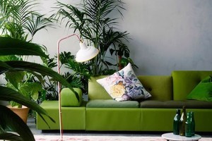 Populiari vilnietė dizainerė turi patarimų norintiems atsinaujinti namus