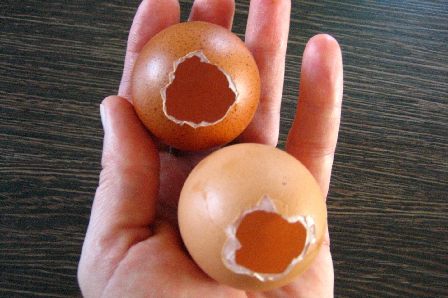 Bukajame kiaušinio gale padarykite ertmes, per kurias supilsite drebučių masę.<br>Asmeninio archyvo nuotr.