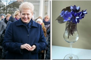 Dalia Grybauskaitė priskynė žibučių Liudui Mažyliui