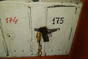 Vos pravėrusi duris iškart užuodė gėdingą kaimynų kerštą