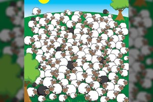 Iššūkis prieš miegą – suraskite šunį ir miegančią avį