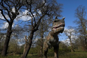 Atradimas sukėlė sąmyšį paleontologų bendruomenėje