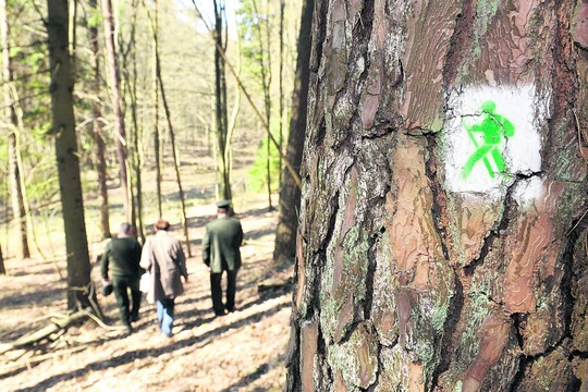 Miškuose darbų daugiau nei didelėje sodyboje