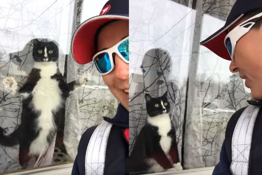 Sunku nesijuokti – sargaus katino reakcija į linksmą paštininkę